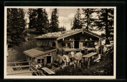 AK Birkenstein, Kesselalm-Cafè  - Sonstige & Ohne Zuordnung