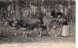 Les Landes Animée Attelage De Boeufs Mise En Barrique De La Résine - Other & Unclassified