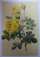 FLEURS - Rose Jaune De Soufre - Blumen