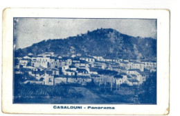 X1916) CASALDUNI BENEVENTO   CARTOLINA VIAGGIATA - Benevento