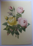 FLEURS - Roses - Flores