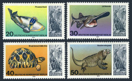 Germany-Berlin 9N411-N414, MNH. Dinosaurs, Padlefish, Tortoise, Iguana.1977. - Nuevos