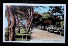 Cp, 17, La Rochelle, Allée Du Mail, Vierge, Ed. G. Artaud - La Rochelle