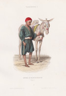 Anier D'Alexandrie (Egypte) - Egyptian Boy Alexandria / Esel Donkey / Egypt Ägypten / Costume Tracht Costumes - Estampes & Gravures