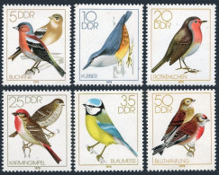 Germany-GDR 1976-1981,MNH.Michel 2388-2393. Songbirds 1979. Chaffinches, Robin, - Neufs