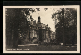 AK Münster I. W., Schloss, Parkseite  - Muenster