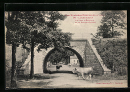 CPA Lannemezan, Le Pont D`Espagne Et La Route D`Arreau  - Lannemezan