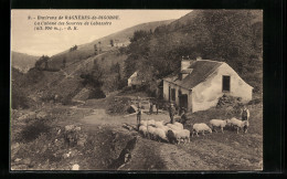 CPA Bagnéres-de-Bigorre, La Cabane Des Sources De Labassére  - Sonstige & Ohne Zuordnung