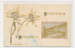 CPA  9 X 14 Isère Souvenir De GRENOBLE (8) Avec Le Pont Suspendu Et Ste Marie  2 Fleur Edelweiss Naturelles - Grenoble