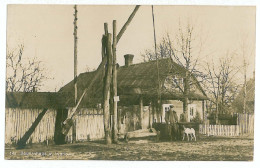 RUS 12 - 7558 IWANOWO, Soldiers, Dog, Country Life, Russia - Old Postcard, Real PHOTO - Unused - Russie