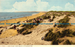 R146321 Sand Dunes. West Beach. Littlehampton. Shoesmith And Etheridge. Norman. - Monde