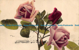 R145001 Old Postcard. Roses. M. Ettlinger. The Royal - Monde