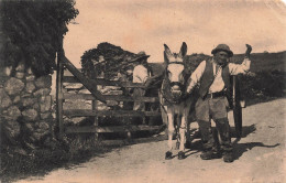 METIERS - Un Paysan Avec Son Poulain - Carte Postale Ancienne - Campesinos