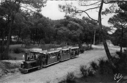 Cap Ferret Le Petit Train Forestier - Autres & Non Classés