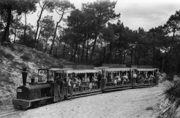 Cap Ferret Le Petit Train Forestier - Autres & Non Classés
