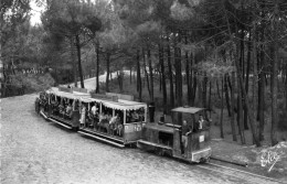 Cap Ferret Le Petit Train Forestier - Andere & Zonder Classificatie