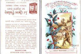 Chromos & Images - Les Plantes Utiles - Belladone - Tisane Des Pères Célestins - Altri & Non Classificati