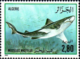 Algérie (Rep) Poste N** Yv: 834 Mi:876 Mustelus Mustelus - Algérie (1962-...)