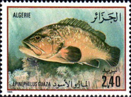 Algérie (Rep) Poste N** Yv: 833 Mi:875 Epinephelus Guaza - Argelia (1962-...)