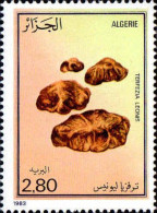 Algérie (Rep) Poste N** Yv: 790 Mi:830 Terfezia Leonis - Algérie (1962-...)