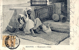 CPA Egypte - Aboukir - Marchand D'oies - Other & Unclassified