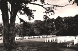 HERMANVILLE, CALVADOS, CEMETERY, GRAVEYARD, GABY EDITION, FRANCE, POSTCARD - Andere & Zonder Classificatie