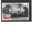 Maroc, Le Mont Atlas , Foire Commerciale - 1940-1949