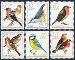 Germany-GDR 1976-1981,MNH.Michel 2388-2393. Songbirds 1979. Chaffinches, Robin, - Nuevos