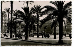 CPSM  9 X 14  Var   TOULON   Place  (écrit Ptace) De La Liberté - Toulon