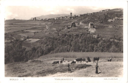 ES MOLLO - Palanesas 6 - Vista Panoramica - Les Foins - Animée - Belle - Gerona