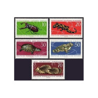 Germany-GDR 663-667, MNH. Mi 978-982. Beetle, Salamander, Turtle,Toad,Hedgehogs. - Unused Stamps