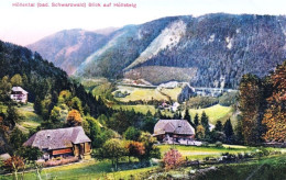 HOLLENTAL ( Bad Schwarzwald ) Blick Auf Hollsteig - Höllental