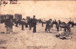 59 - MALO Les BAINS - Plage Du Kursaal - Balade A Dos D'ane - Malo Les Bains