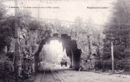 LAEKEN - BRUXELLES - Le Pont Rustique Dans Le Parc Public - Laeken