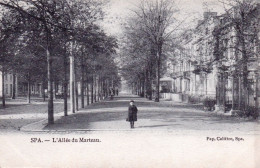 Liege - SPA - L'allée Du Marteau - Spa