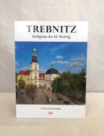 Trebnitz. Heiligtum Der Hl. Hedwig. - 4. 1789-1914