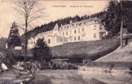 Liege - VERVIERS - Chateau De Petaheid - Verviers