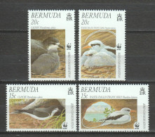 Bermuda 1997 Mi 723-726 MNH WWF - BIRDS - Nuevos