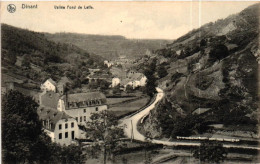 DINANT / VALLEE FOND DE LEFFE - Dinant