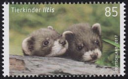 3288 Tierkinder - Iltis, Nassklebend, ** - Unused Stamps