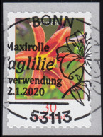 3516 Blume Taglilie, Selbstklebend, EV-O BONN 2.1.2020 - Usati