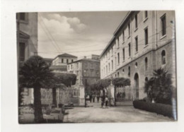 CATANZARO Sede Comando Legione Carabinieri 1955 - Catanzaro