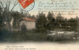 165..... Berger Landais Gardant Son Troupeau - Sonstige & Ohne Zuordnung