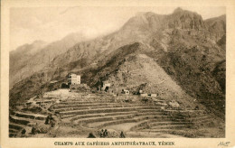 Yemen Coffee Fields Amphitheatre Ed Sarrafian - Yemen