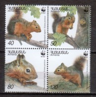 Armenia 2001 Mi 435-438 MNH WWF SQUIRREL - Unused Stamps