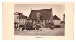 1938 - Héliogravure - Molsheim (Bas-Rhin) - La Place De La Fontaine - Unclassified