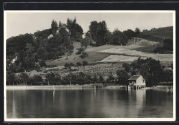 AK Arenenberg, Schloss Arenenberg Am Untersee  - Other & Unclassified