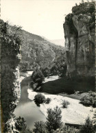 81 - LES GORGES DU TARN - LE TARN VERS LES BAUMES - Altri & Non Classificati