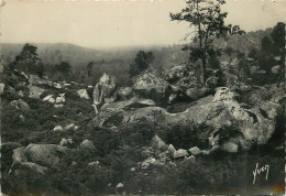 77 - FONTAINEBLEAU - LA FORET - LE DESERT  D'APREMONT - Fontainebleau