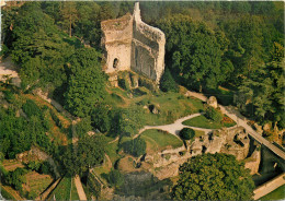 61 - DOMFRONT - VUE AERIENNE DE L'ANCIEN DONJON - Domfront